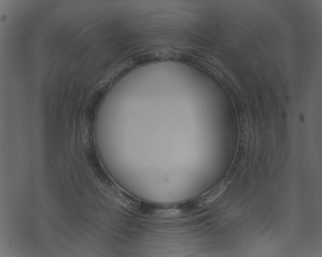 X0000074290266200608250935