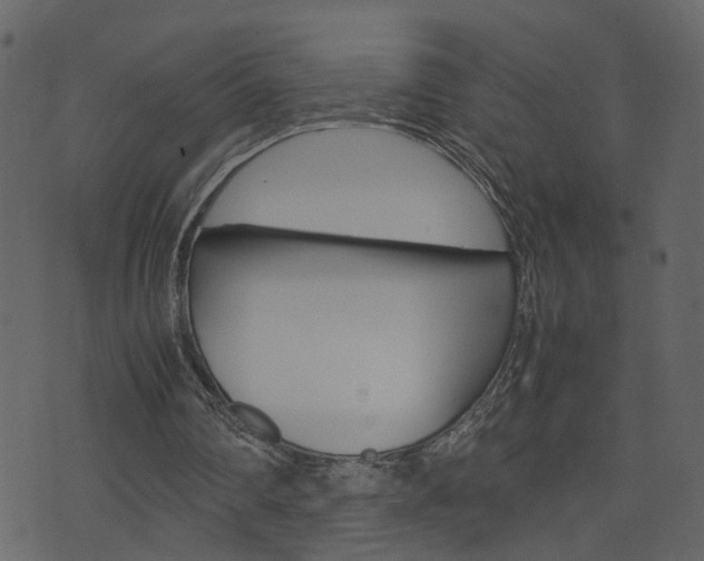 X0000074290290200608250934