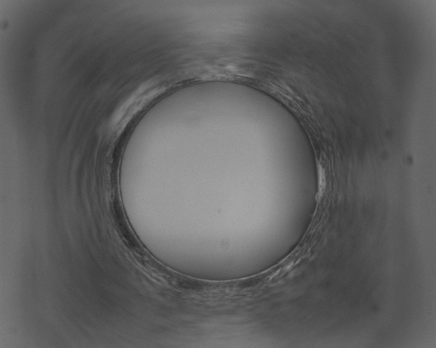 X0000074290291200608250934