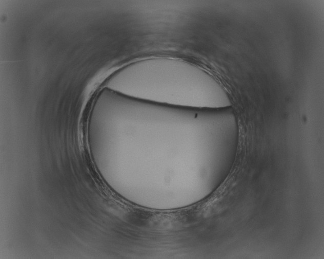 X0000074290294200608250934