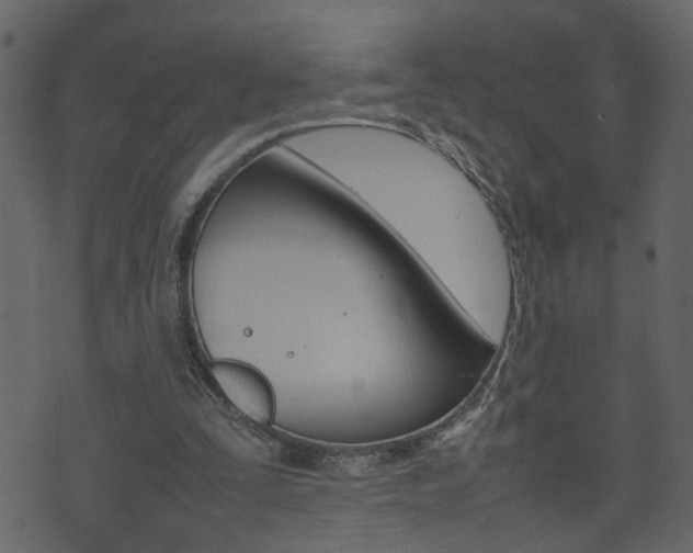 X0000074290295200608250934