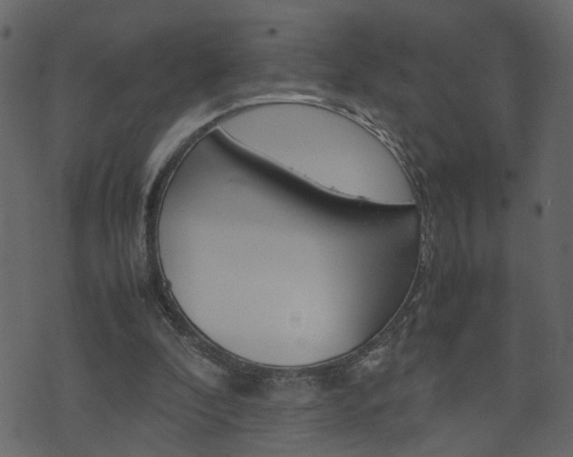 X0000074290296200608250934