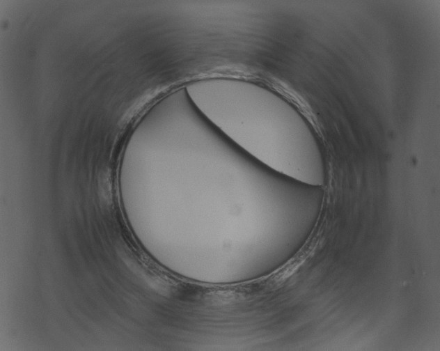 X0000074290298200608250934