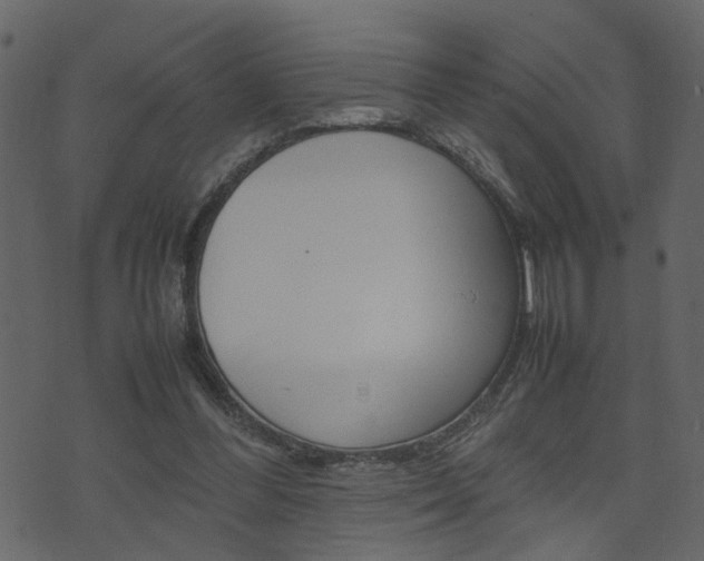 X0000074290300200608250934
