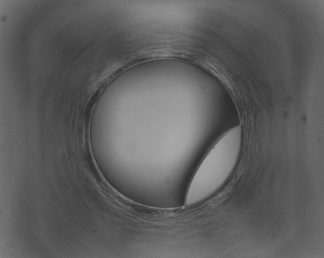 X0000074290301200608250934