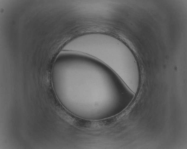 X0000074290305200608250934