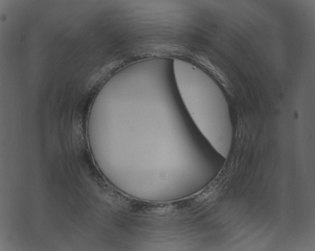 X0000074290306200608250934