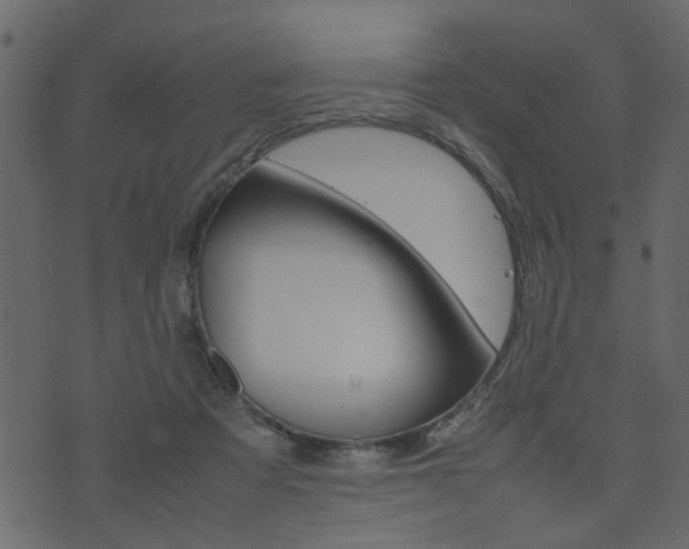 X0000074290313200608250934