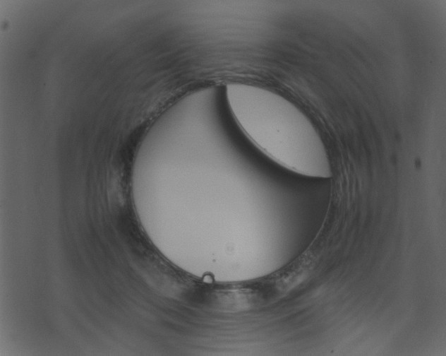 X0000074290316200608250934