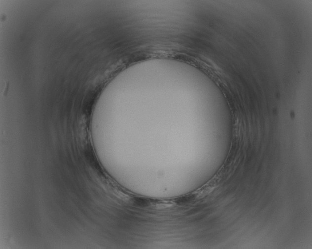 X0000074290318200608250934