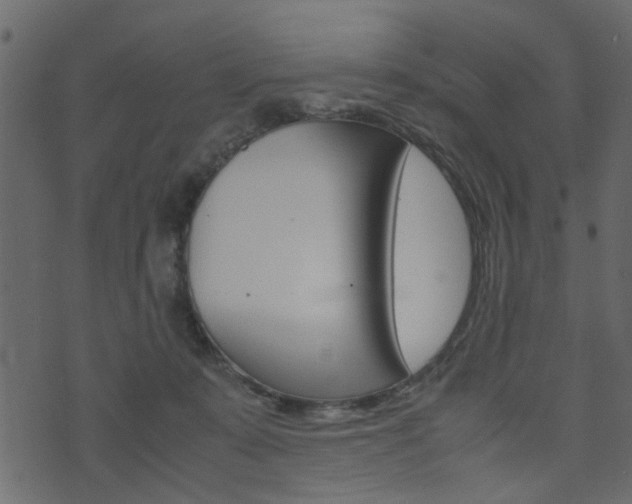 X0000074290319200608250934