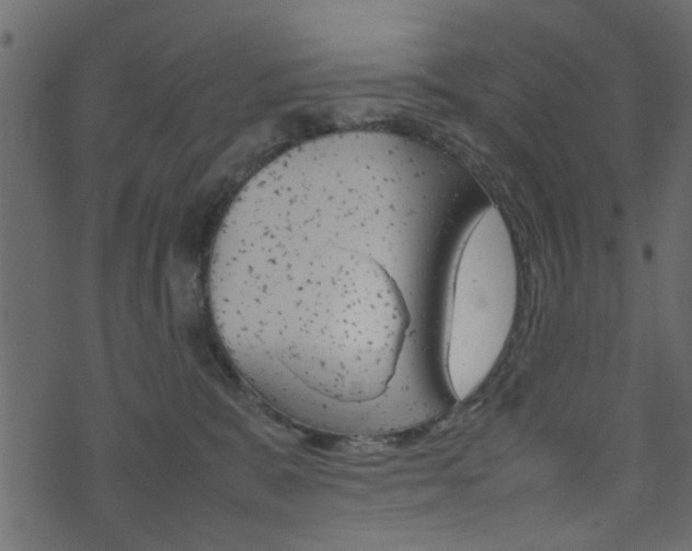 X0000074290327200608250934