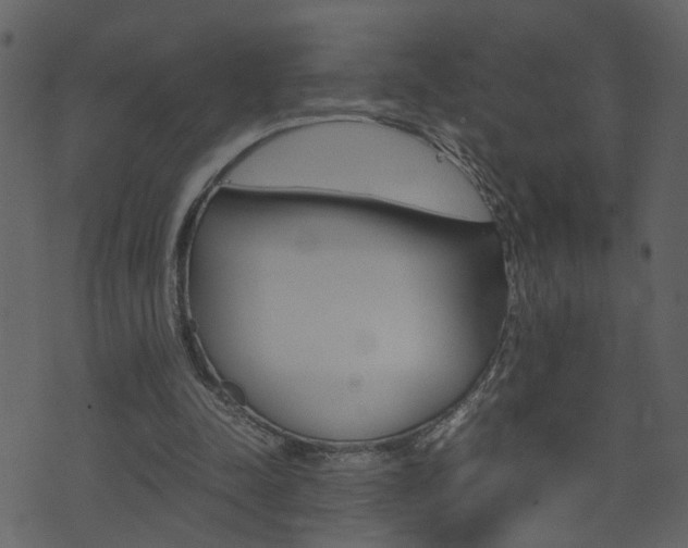 X0000074290342200608250933