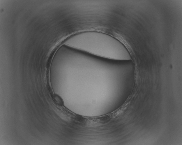 X0000074290346200608250933