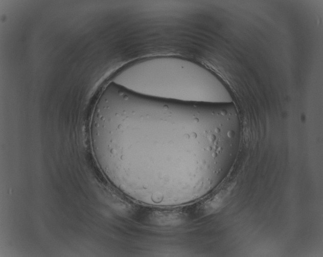 X0000074290351200608250933