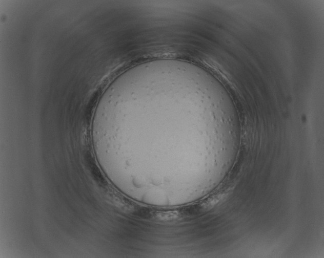 X0000074290355200608250933