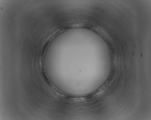 X0000074290363200608250933