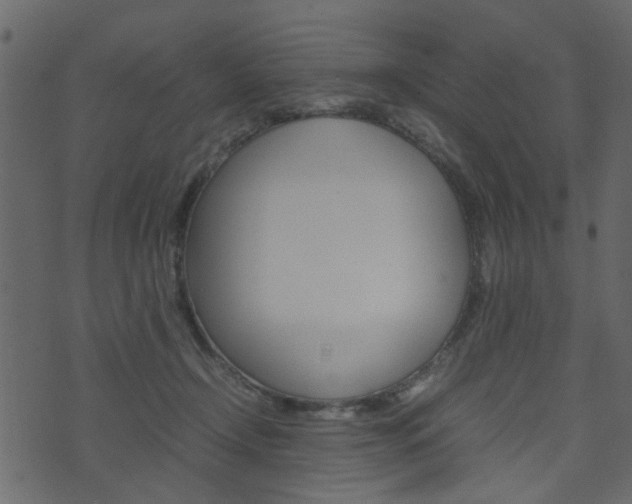 X0000074290366200608250933