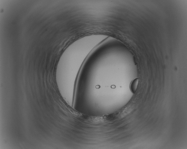 X0000074290384200608250933