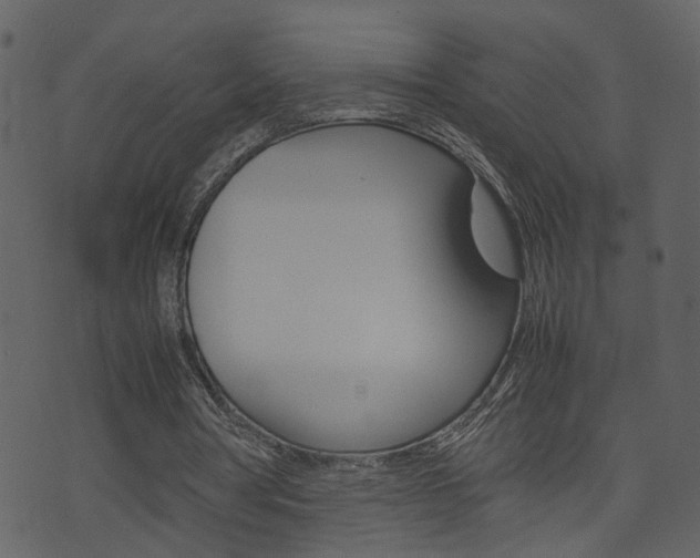 X0000074290386200608250933