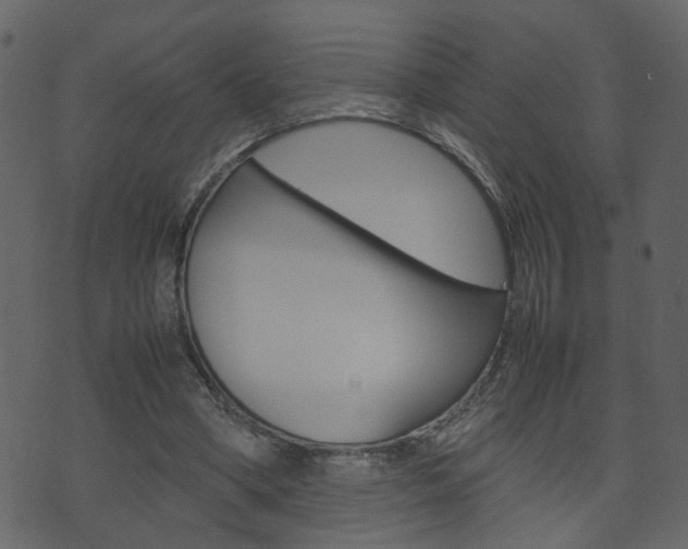 X0000074290394200608250932