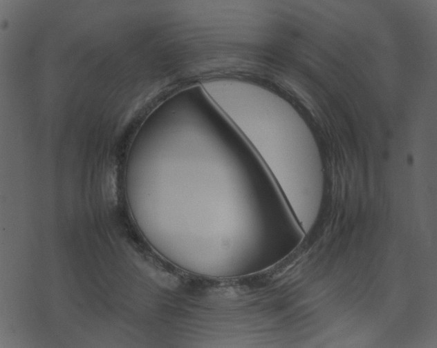 X0000074290404200608250932