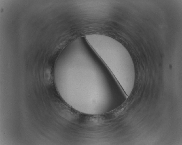 X0000074290420200608250932