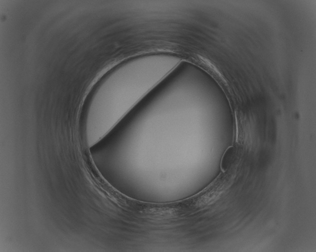 X0000074290435200608250931