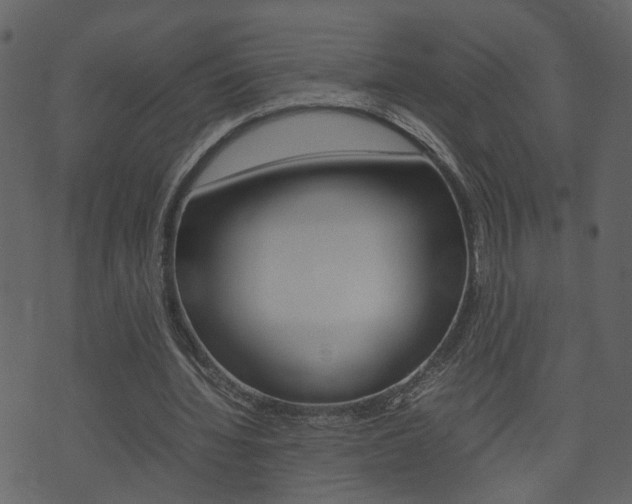 X0000074290436200608250931