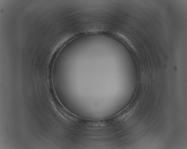 X0000074290443200608250931