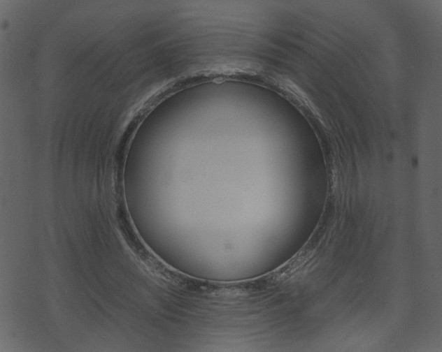 X0000074290444200608250931