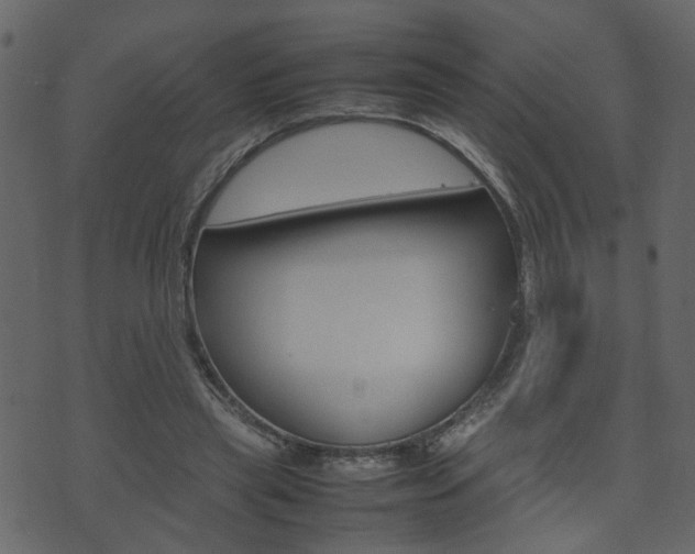 X0000074290445200608250931
