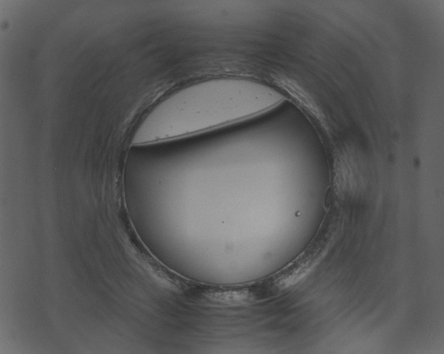 X0000074290449200608250931