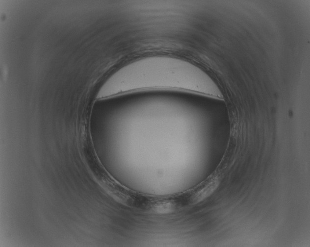 X0000074290456200608250931