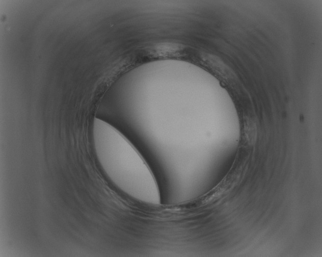 X0000074290461200608250931
