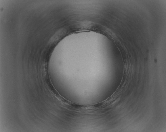 X0000074290462200608250932