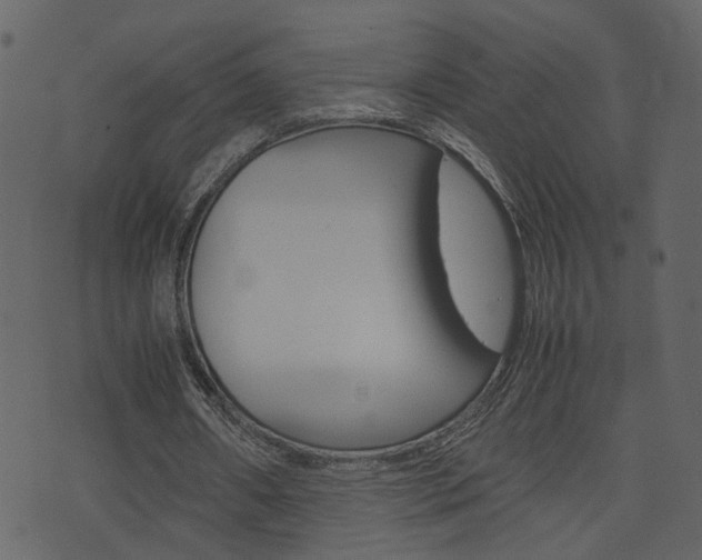 X0000074290482200608250931