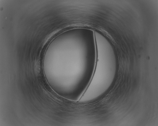 X0000074290484200608250931