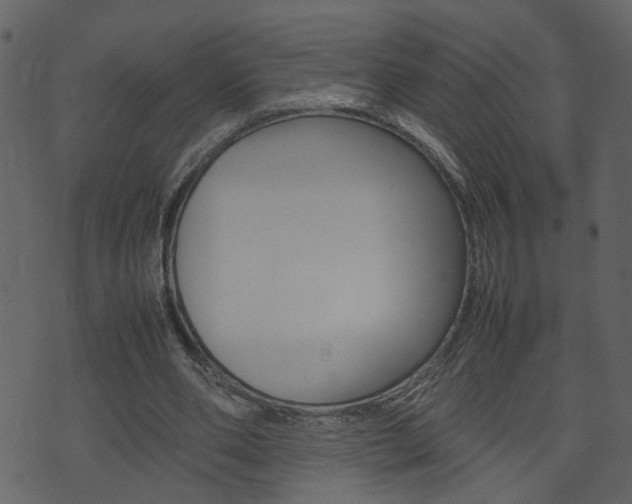 X0000074290486200608250931
