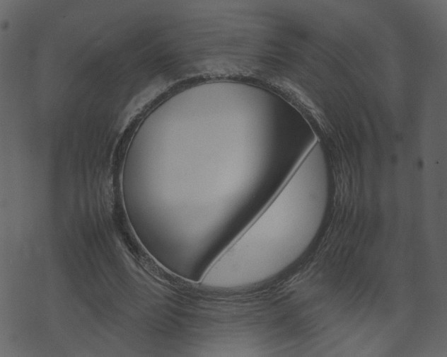 X0000074290488200608250931