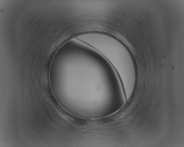 X0000074290489200608250931