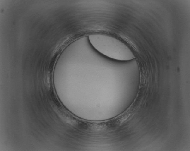 X0000074290494200608250931