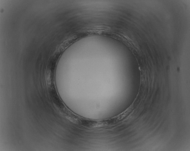 X0000074290504200608250931
