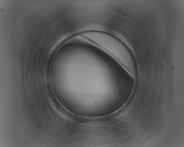 X0000074290530200608250929