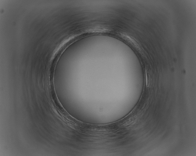 X0000074290531200608250930