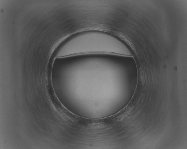 X0000074290536200608250930