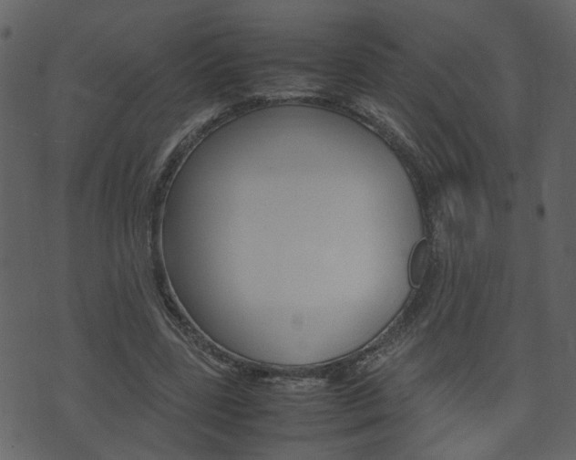 X0000074290539200608250930