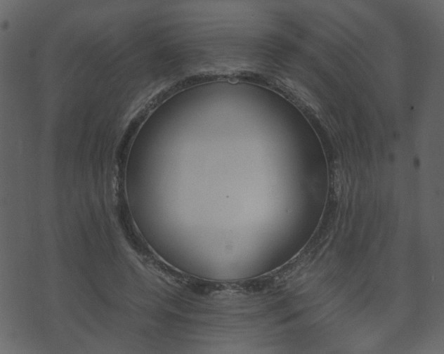 X0000074290544200608250930