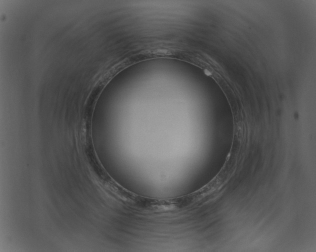 X0000074290552200608250930