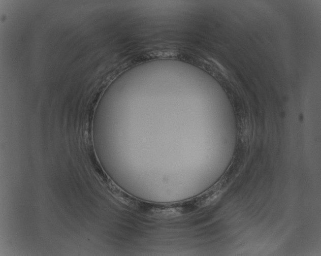 X0000074290553200608250930